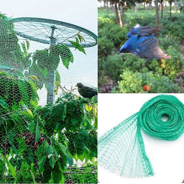 Lintuverkkoa suojaava verkko puutarhan hedelmäpuille Mesh Net Vihreä puutarhaverkko 5*20 metriä