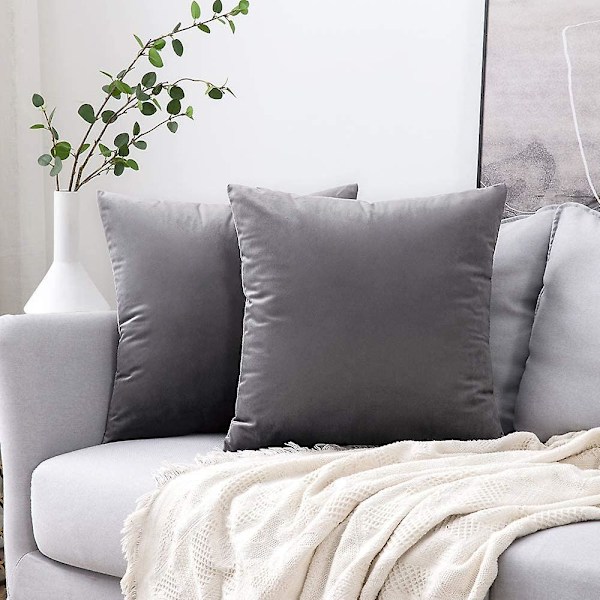 Set med 2 dekorativa kuddfodral i sammet Soffa Case Superslät Mjuk Bekväm dekoration Hem Vardagsrum Sovrum För Soffa 40x80cm Vatten G