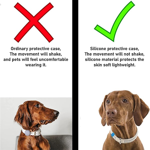 Pet Tag