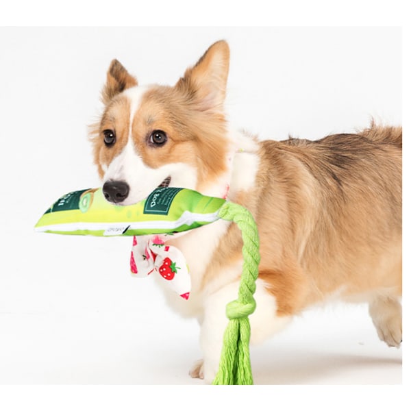 Pet Voice Jam Lelut Teddy Corgi Puremisenkestävät Canvas Lelut Stress relief tarvikkeet koirille (4 pakkaus),