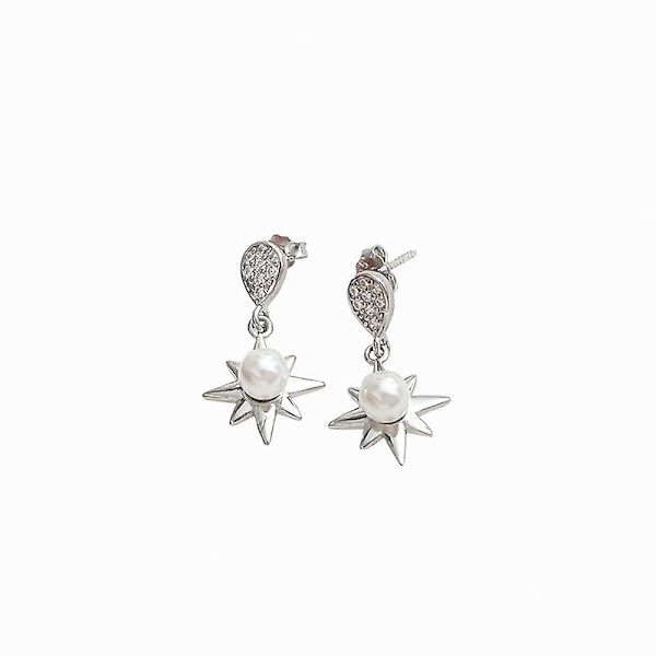 Ørepynt 925 Sølvsmykker Star Fashion Jewelry Ac8151