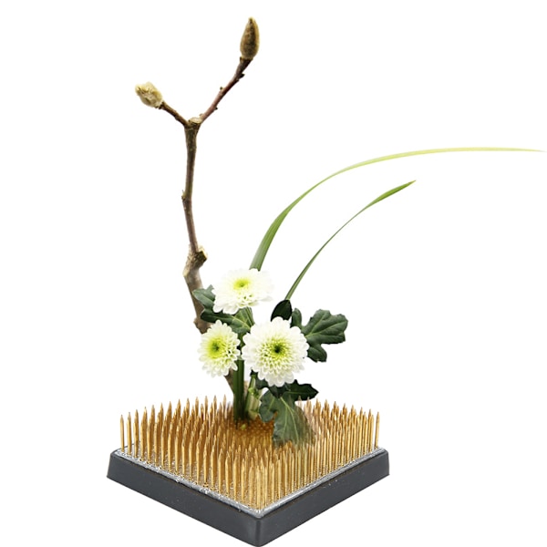Unik fläktformad Kenzanhållare för blomsterarrangemang - Nålverktyg för kreativ blomsterdisplay