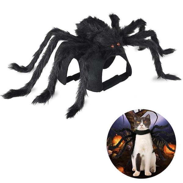 Husdjursdräkt Spindel Halloween husdjur rollspel hund katt kostym S Black