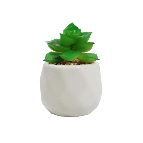 Kunstige pottesukkulenter, falske sukkulenter, mini falske planter i hvide keramiske potter, velegnet til