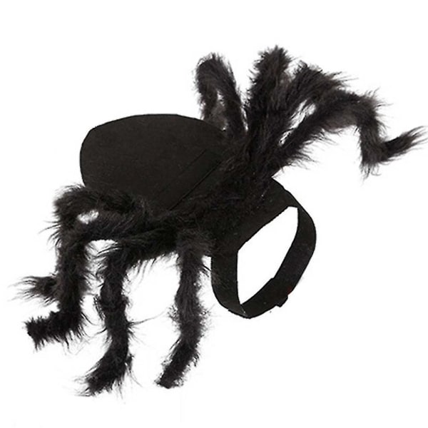 Halloween kjæledyr hund katt rollespill kostyme Halloween edderkopp