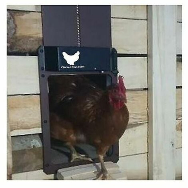 Automaattinen Chicken Coopin ovenavaaja Chicken Coop -valotunnistimen suljin