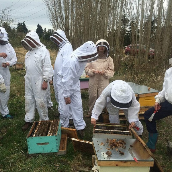 Mehiläishoitovaatteet Mehiläishoitovaatteet Ammattimainen mehiläishoitajaasu - itsekantavalla hunnulla XXL-pitkillä käsineillä，