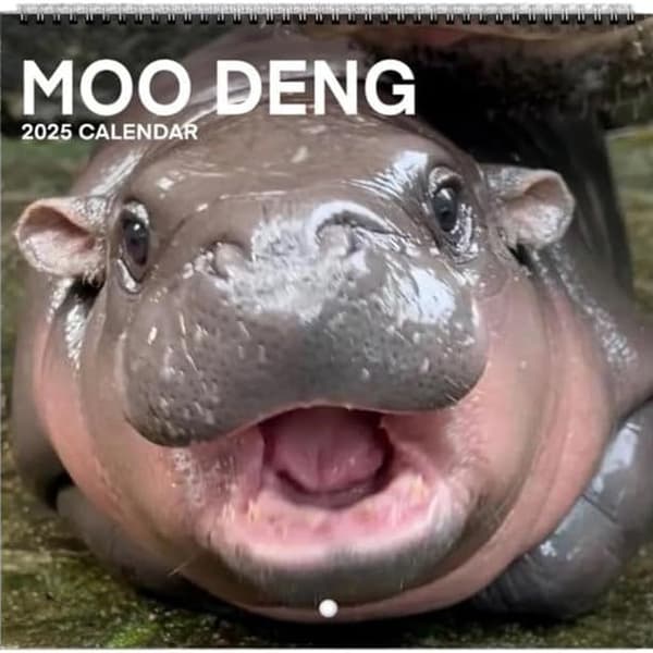Ny Moo Deng Kalender | 2025 Kalender Internettkjendis Flodhest Moderne Kalender