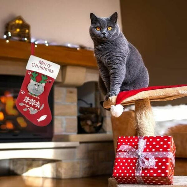 Pet Cat Julstrumpor 3D Stickad Röd Julstrumpa för katt, Xmas Öppen spis Hängande julstrumpa dekoration