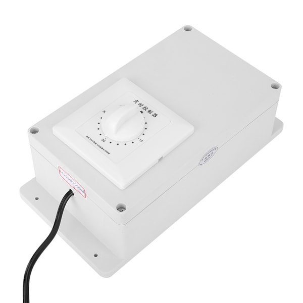2000mg Ozon Generator for Vannrensing, Dam Behandling og Frukt- og Grønnsakssterilisering