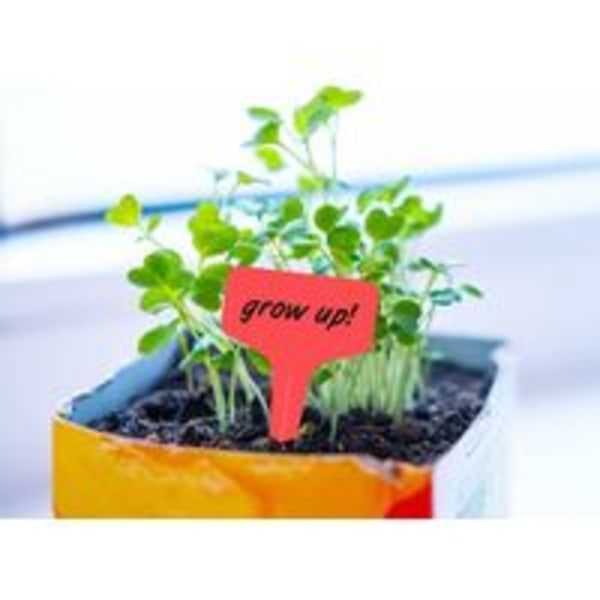 100 stykker planteetikett Frøplanteetikett Grønnsakshageplanting Vanntett plast utendørs, rød, 10x6c