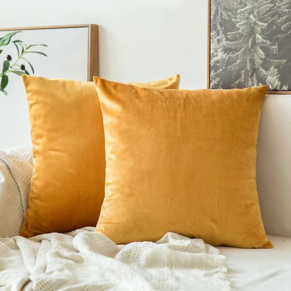 Sett med 2 dekorative fløyelsputetrekk Sofa Putetrekk Superglatt myk dekorasjon Hjem Stue Soverom til sofa 2 stk 30x50cm Rød