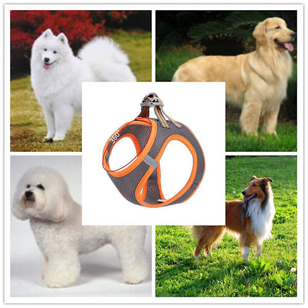Night Vision Reflekterende Hunde Traction Rope Bryststropp Refleks Pet Ves