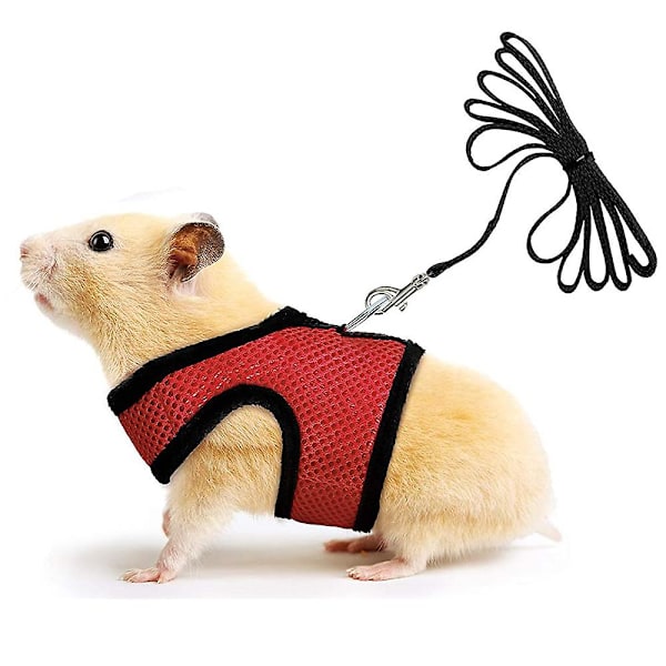 Small Pet Sele Bell, No Pull Comfort Vadderad väst Slitstark Nylon, Marsvin Sele koppel Set hela säsongen för liten kanin, iller, råttor, leguan, skinkor