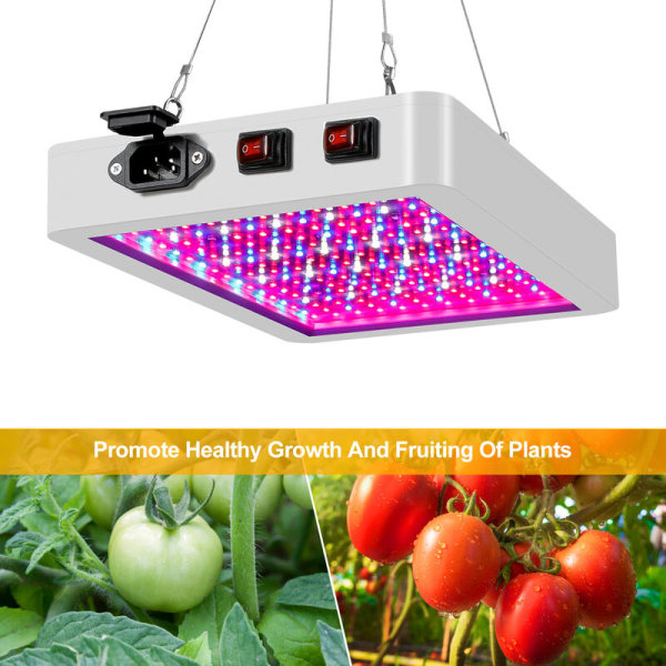 LED Grow Light Täysspektri sisäkasvit Kasvava valokasvatuslamppu molvavihanneskukka-hydroponisiin kasvihuoneisiin, 312