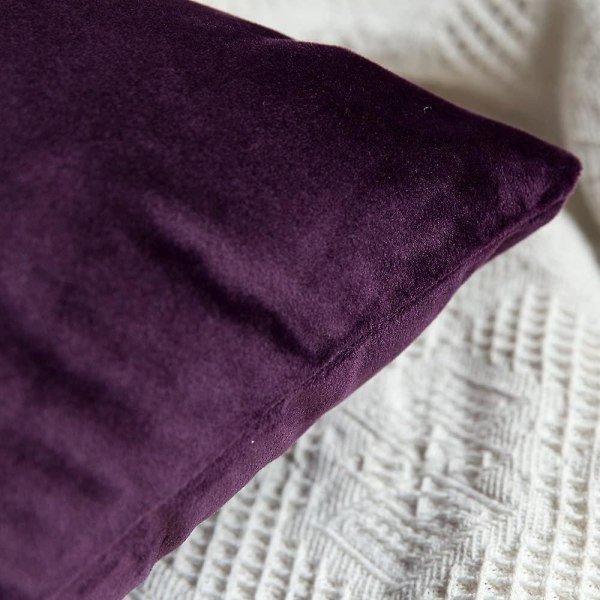 Set med 2 dekorativa kuddfodral i sammet Soffa Case Super Smidig Mjuk Inredning Hem Vardagsrum Sovrum För Soffa 2 delar 30x50cm Vinröd