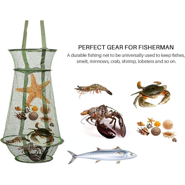 Fiskenett Fiskefelle Sammenleggbart fiskebur Fiskekurv for oppbevaring av lokker krepsekrabber Smelt Minnows Reker Hummer
