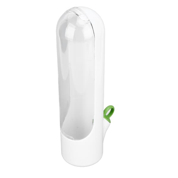 Fresh Herb Savor Keep Koriander Mynte Persille Asparges Frisk