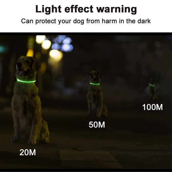 Led-hundehalsbånd, USB genopladeligt glødende hundehalsbånd til kæledyr til natsikkerhed, modelyshalsbånd til små mellemstore hunde