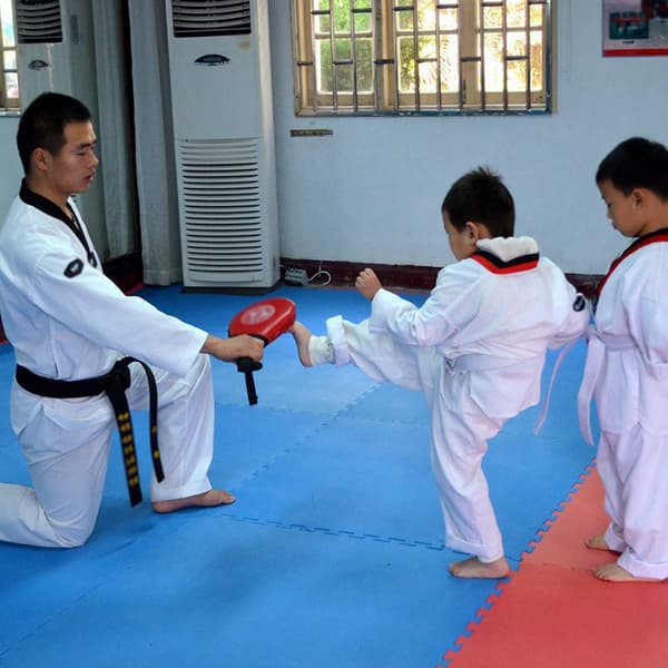 Sparkboxning Taekwondo Karate Träningsmål