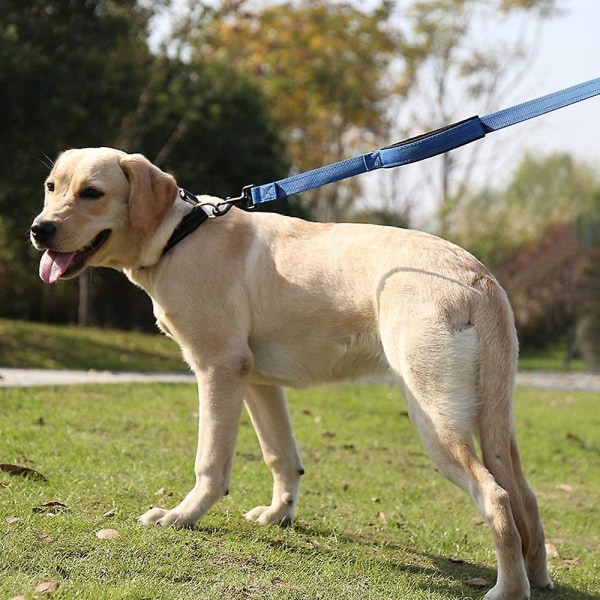 Husdjursutrustning Hundkoppel1,5 m lång vadderad tvåhandtag Kraftiga dubbla handtag Ledning för kontroll Säkerhetsträningskoppel för stora hundar eller medelstora hundar