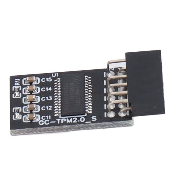 Gigabyte TPM 2.0 Modul LPC SPI 12Pin Sikkerhetskrypteringskort