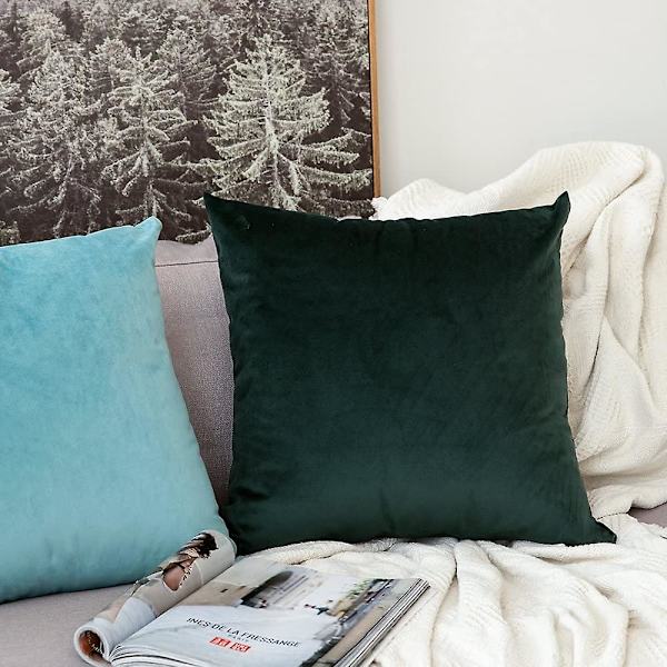 Sæt med 2 dekorative fløjlspudebetræk Sofa Pudebetræk Super Glat Blød Dekoration Hjem Stue Soveværelse Til Sofa 2 stk. 30x50cm Vand Gree