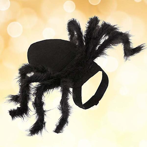 Halloween kæledyr hund kat rollespil kostume Halloween edderkop