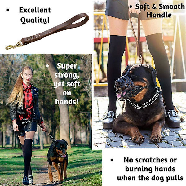 Hunde Læder Flettet Hunde Kort Traffic Leash Braid