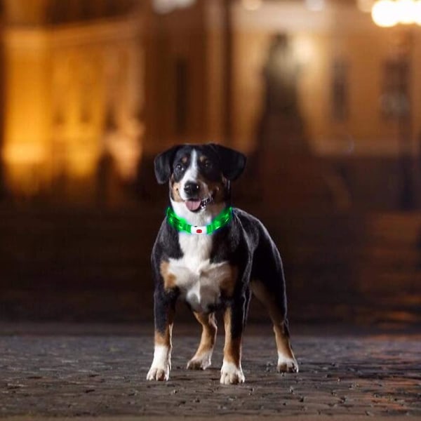 Led-hundhalsband, lysande hundhalsband, uppladdningsbara hundlampor för nattpromenaduniversal, återanvändbart säkerhetshalsband för små medelstora hundar