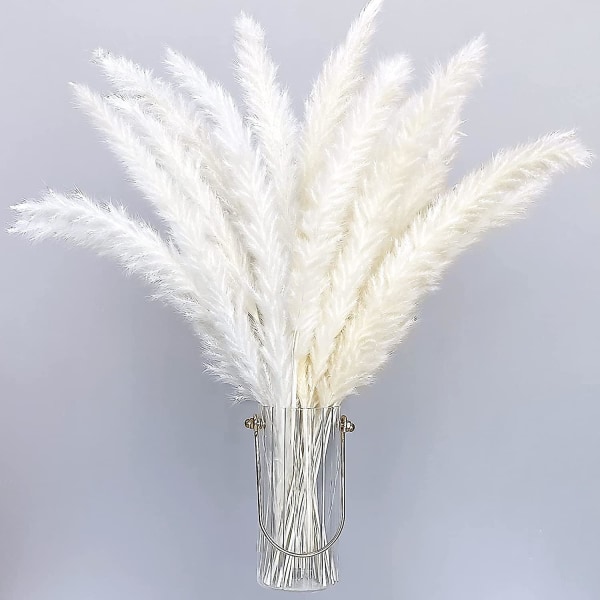 30 Pack Bohemian Style Tørret Kunstig Pampas Græs Hjem Decor Phragmites Tørrede Blomster Til Vaser Hvid Blomster Buket Til Bryllup55cm