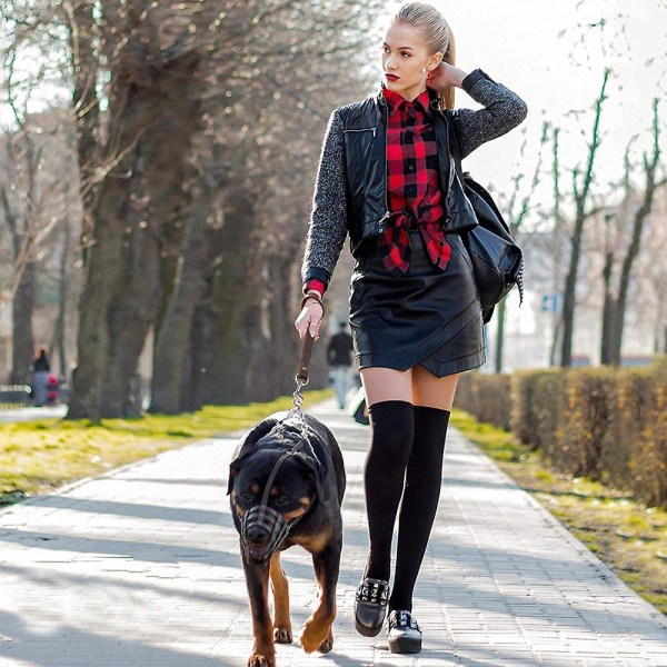 Hunde Læder Flettet Hunde Kort Traffic Leash Braid