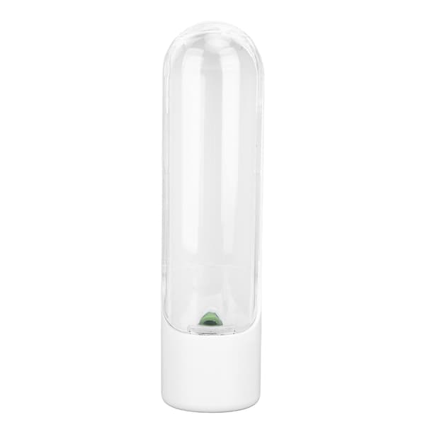 Fresh Herb Savor Keep Koriander Mynte Persille Asparges Frisk