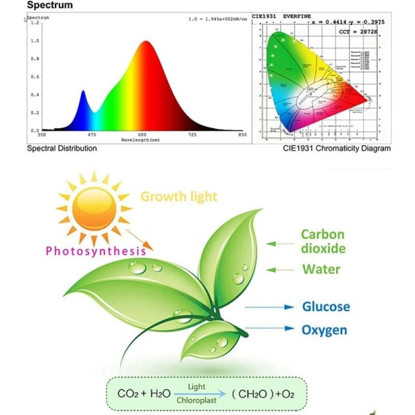 100W Full Spectrum Grow Light med utomhus vattentät sladdhållare