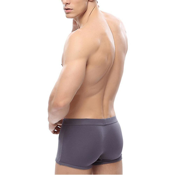 Män Mesh Boxer Brief Trunks Shorts Andas kalsonger Grey L