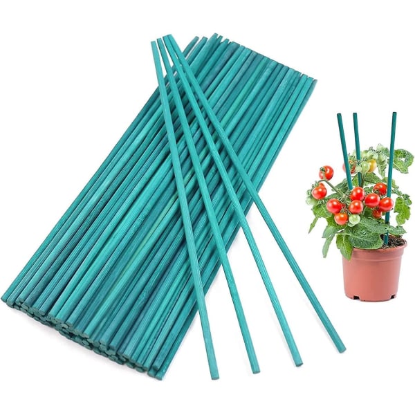 100 styks plantestøttestave, 30 cm bambuspæle Splittede støttestokke til hjemmehaveblomster Plante blomster (grøn)