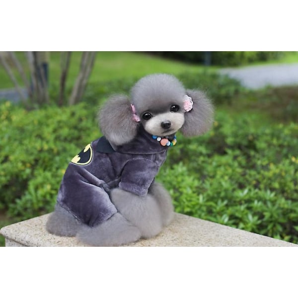 kläder för sällskapsdjur teddy valp kläder höst och vinter kläder M