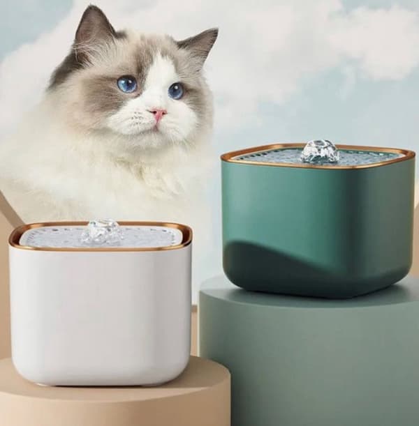 Kattvattenfontän 3L Automatisk Dricksdispenser med Filter Tyst Vit white