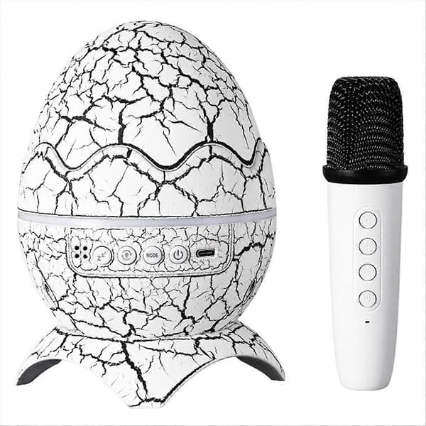 Karaoke Bluetooth-högtalare\nProjektionslampa