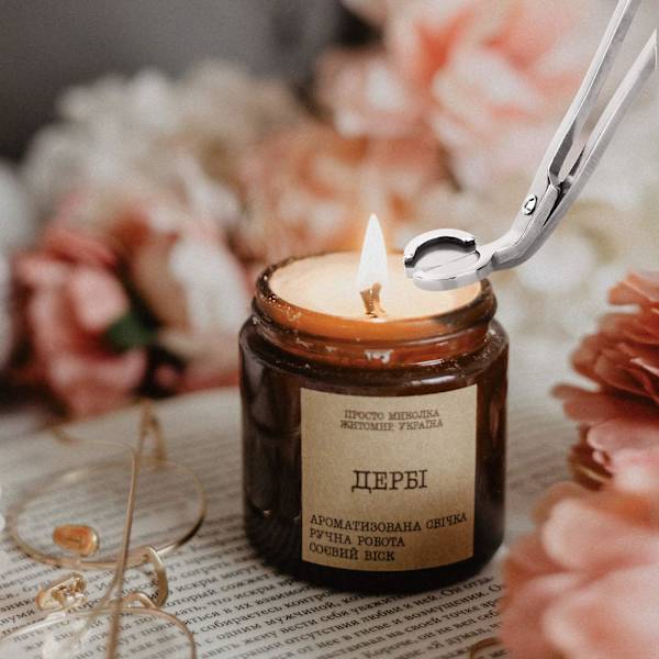 Polerat rostfritt stål Candle Wick Trimmer (silver)