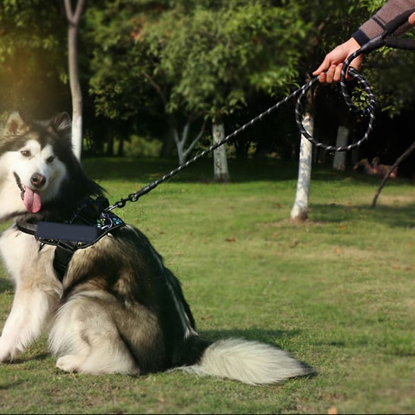 Trafikkpolstret hundebånd med to håndtak, reflekterende tråder for kontroll Sikkerhetstrening for hunder