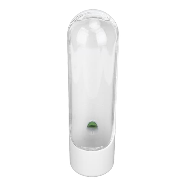 Fresh Herb Savor Keep Koriander Mynte Persille Asparges Frisk