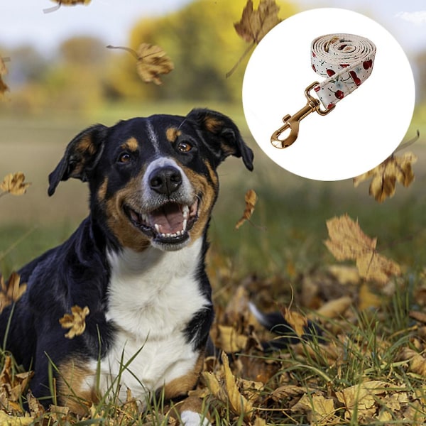 Tørklædehalsbånd og bæltesæt Justerbar halsbånd er velegnet til daglig hund udendørs gå- og løbetræning