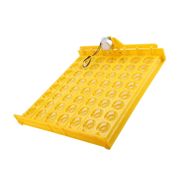 56 Egg Mini Automatisk Inkubator med Motor 100-120V Egg Vendebrett