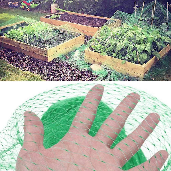 Lintuverkkoa suojaava verkko puutarhan hedelmäpuille Mesh Net Vihreä puutarhaverkko 5*20 metriä