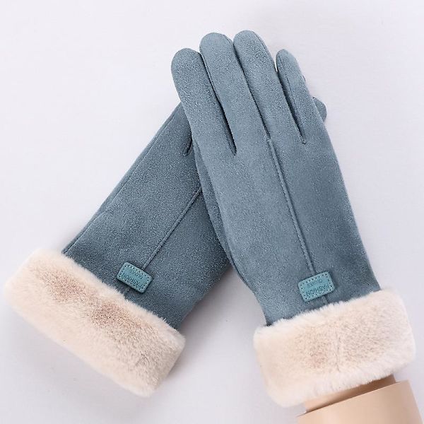 Handskar med pekskärm (blå) blue
