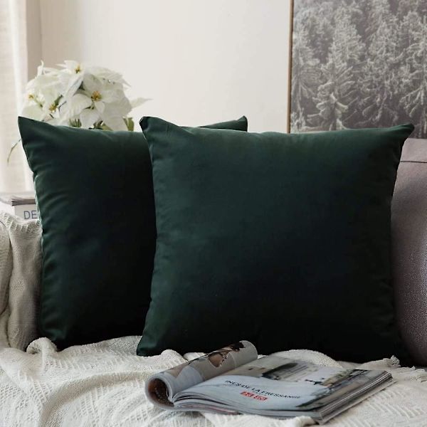 Sæt med 2 dekorative fløjlspudebetræk Sofa Pudebetræk Super Glat Blød Dekoration Hjem Stue Soveværelse Til Sofa 2 stk. 30x50cm Vand Gree
