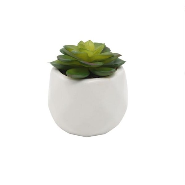Kunstige pottesukkulenter, falske sukkulenter, mini falske planter i hvide keramiske potter, velegnet til