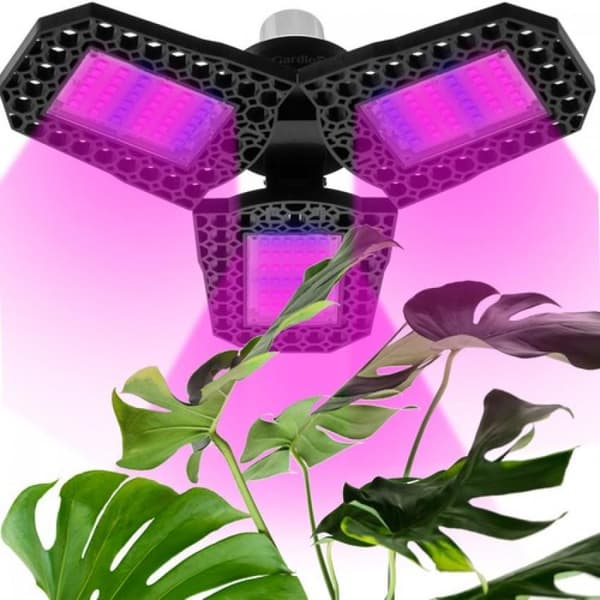LED-belysning til planter
