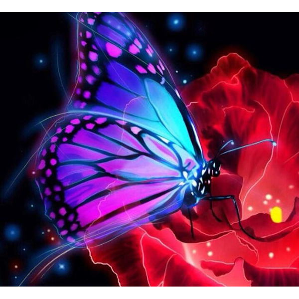 Animal Color Butterfly diamond painting (30x40cm) D